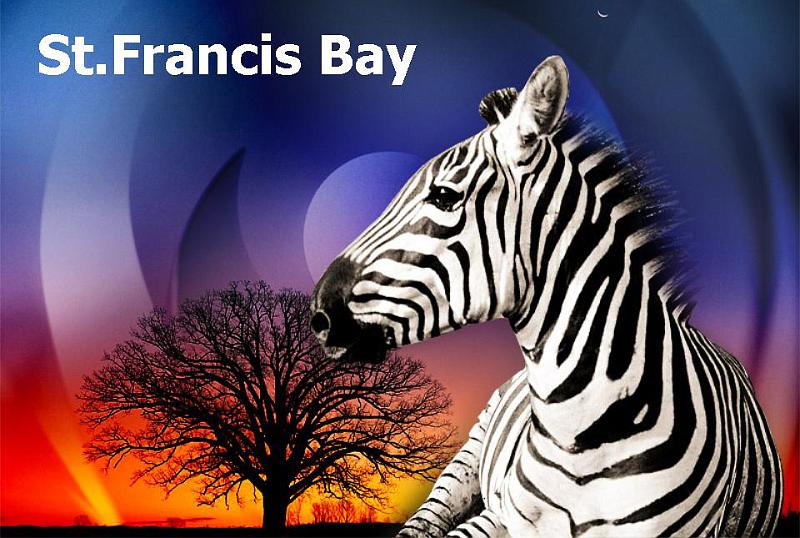 St.Francis Bay (0).jpg